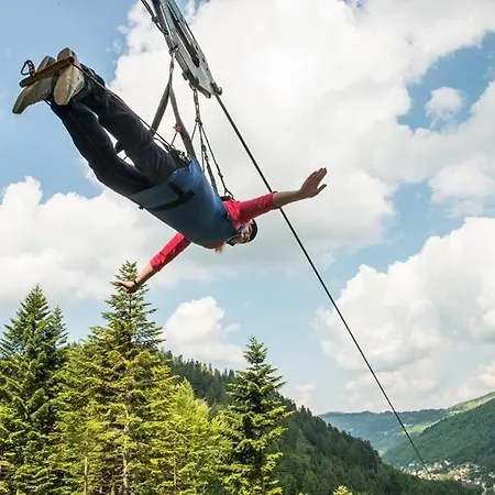 Beau Duplex à Proximité Du De Avec Place De Parking * Gérardmer