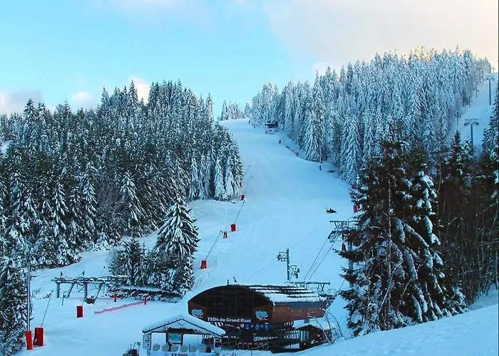 Beau Duplex A Proximite Du De Avec Place De Parking Gérardmer